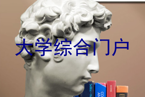 大学综合门户