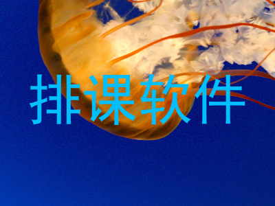 排课软件