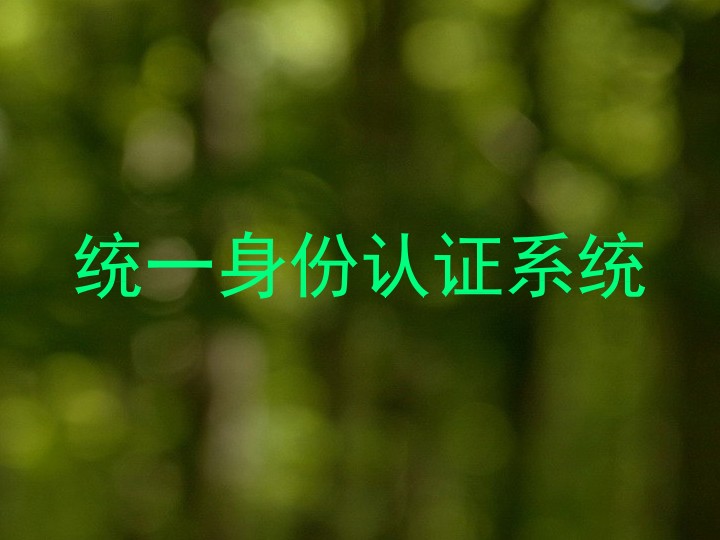 统一身份认证系统