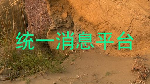 统一消息平台