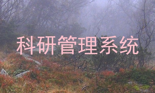 科研管理系统