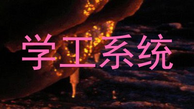 学工系统