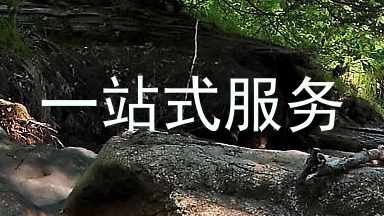 一站式服务