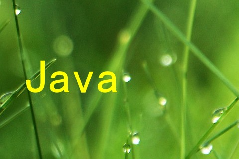 Java