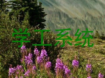 学工系统