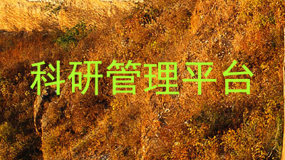 科研管理平台