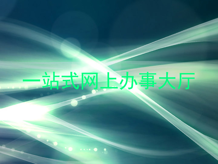 一站式网上办事大厅