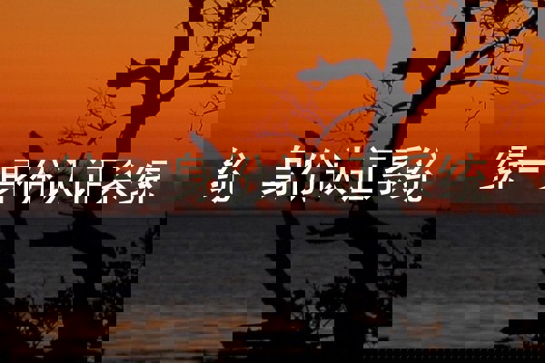 统一身份认证系统