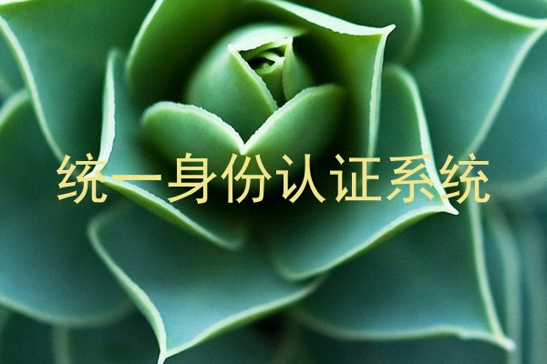 统一身份认证系统