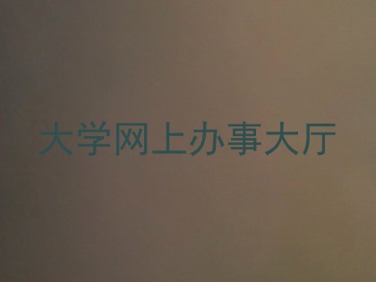 大学网上办事大厅