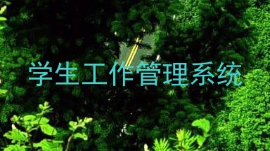 学生工作管理系统