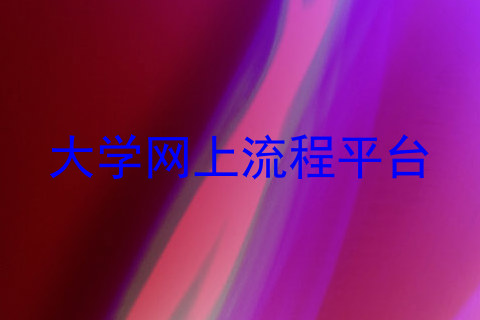 大学网上流程平台