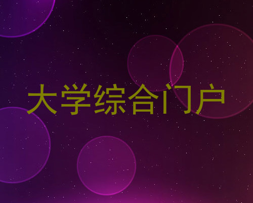 大学综合门户