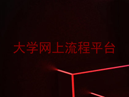 大学网上流程平台
