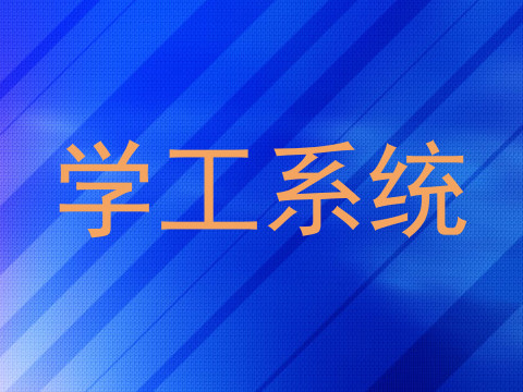学工系统