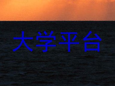 大学平台