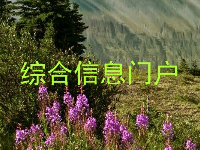 综合信息门户