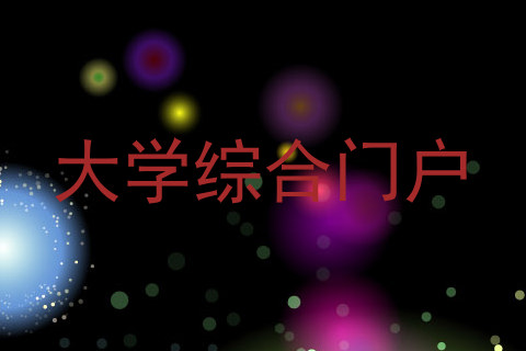 大学综合门户