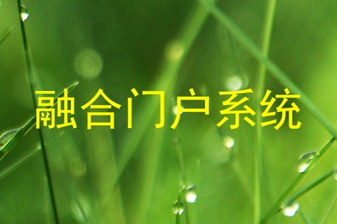 融合门户系统