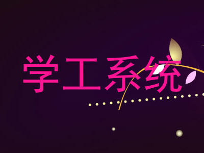 学工系统