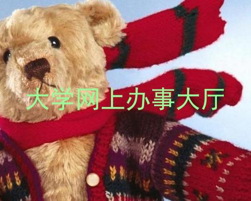 大学网上办事大厅