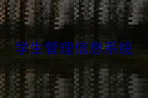 学生管理信息系统