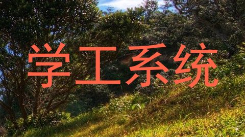 学工系统