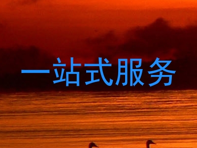一站式服务
