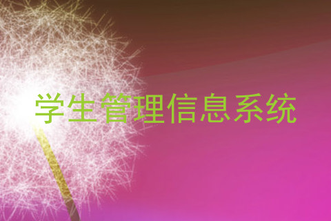 学生管理信息系统
