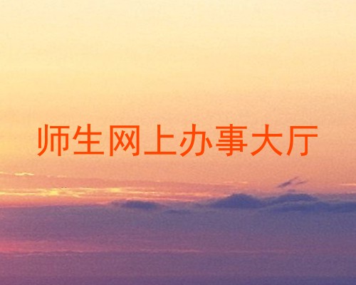 师生网上办事大厅