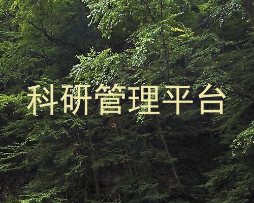 科研管理平台