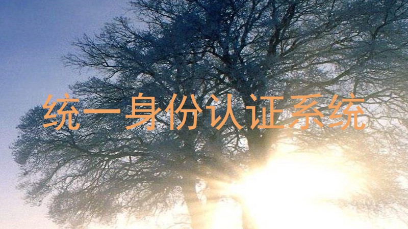 统一身份认证系统