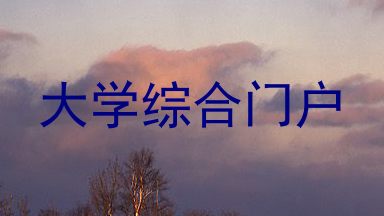 大学综合门户