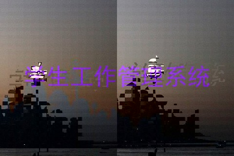 学生工作管理系统