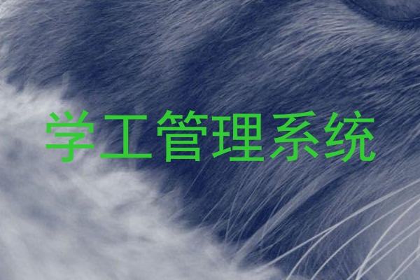 学工管理系统