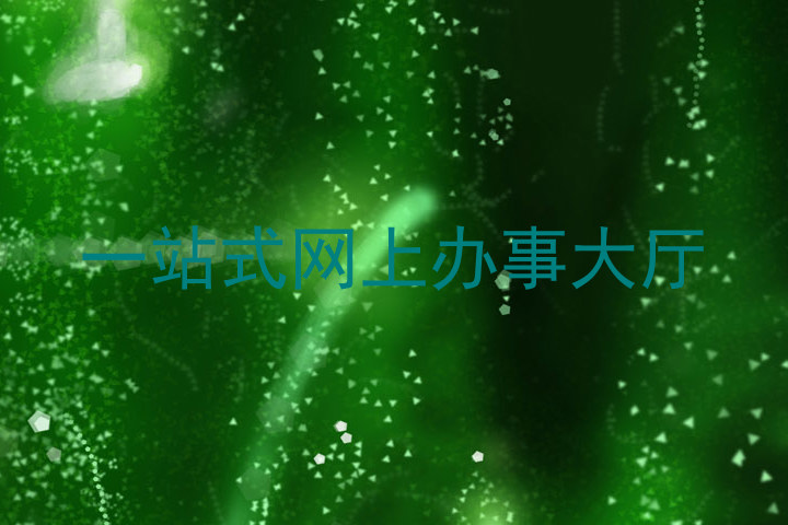 一站式网上办事大厅