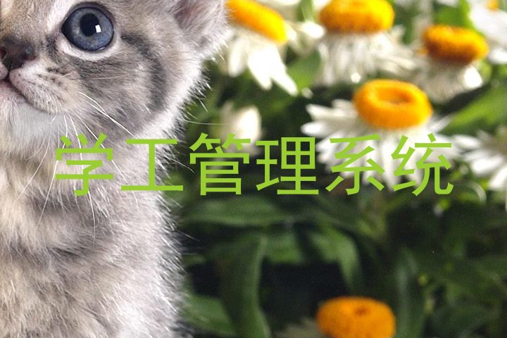 学工管理系统