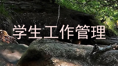 学生工作管理
