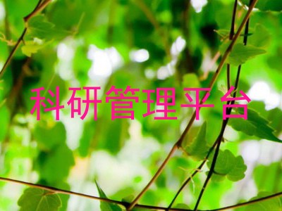 科研管理平台
