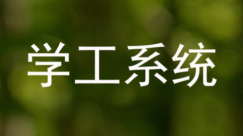 学工系统