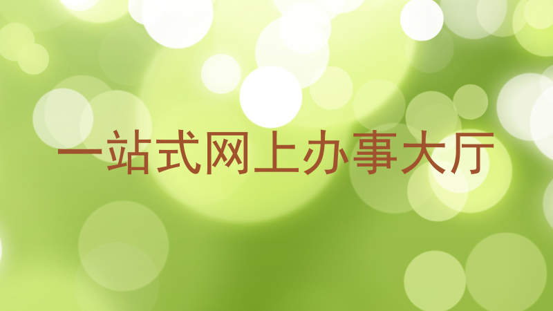 一站式网上办事大厅