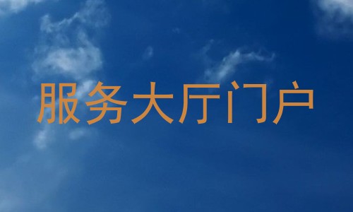 服务大厅门户
