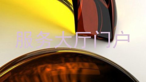 服务大厅门户