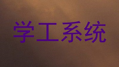 学工系统