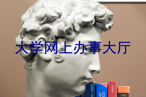 大学网上办事大厅