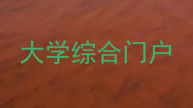 大学综合门户