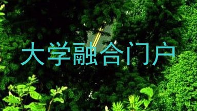 大学融合门户