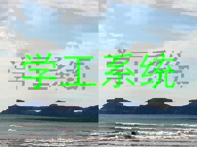 学工系统