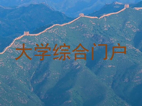 大学综合门户