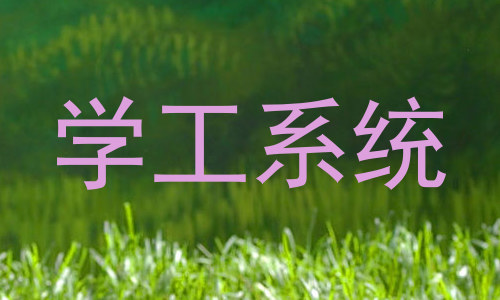 学工系统